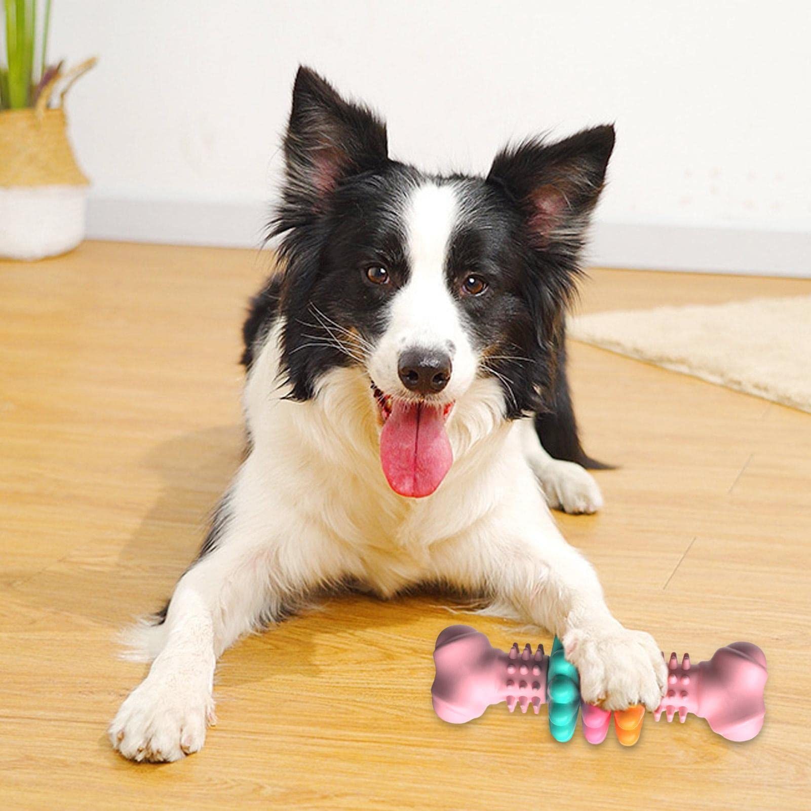 Dog Chew Toy Dog Bone Type Dogs Teeth Cleaning Toys Indestructible TPR Bone Chewing Bite Resistant Teething Toys Pet Products - Image 6